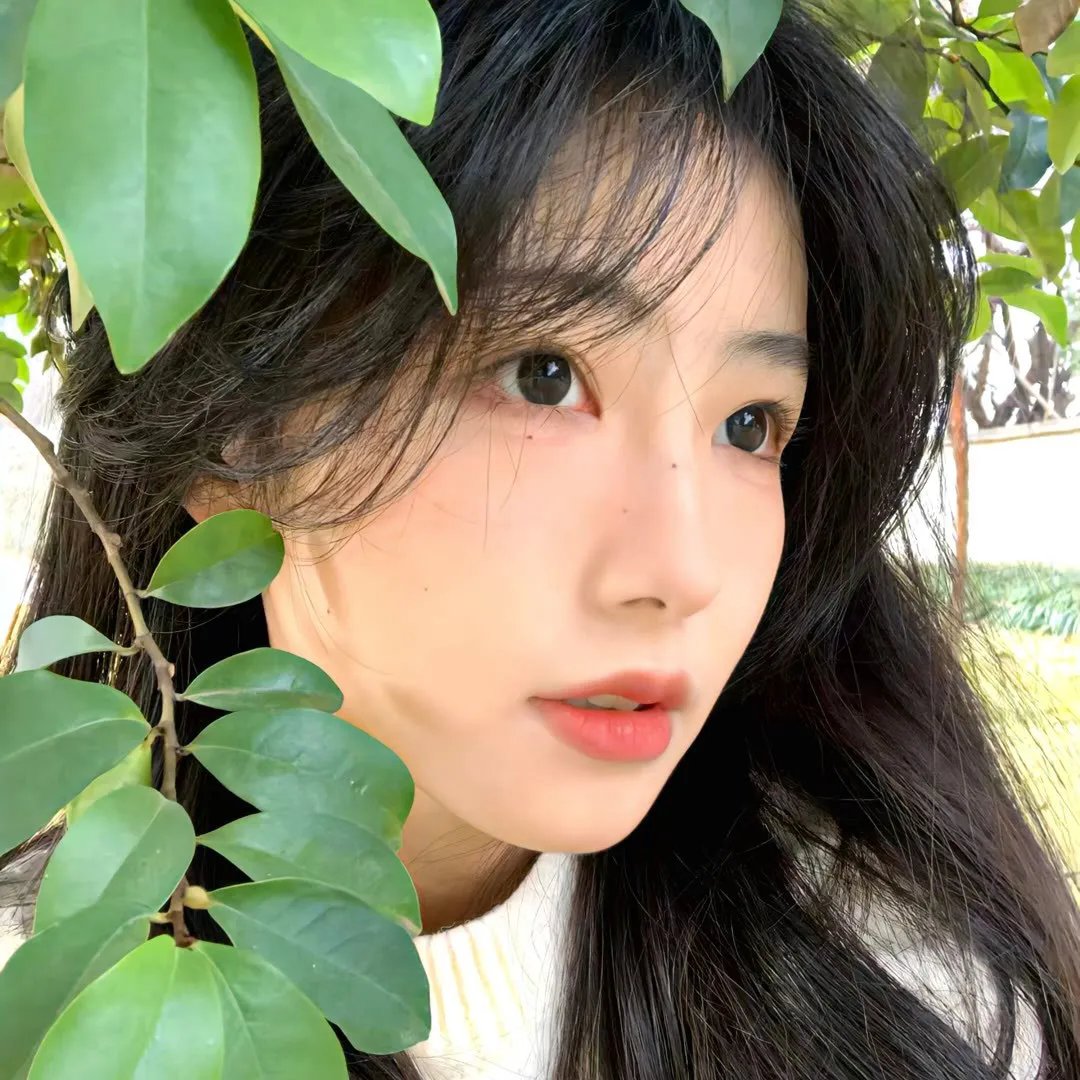 妖精森林的小不点