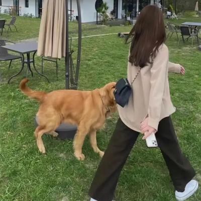 水之身